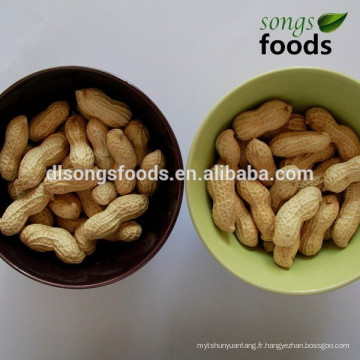 Cacahuètes en gros d&#39;origine chinoise du Shandong